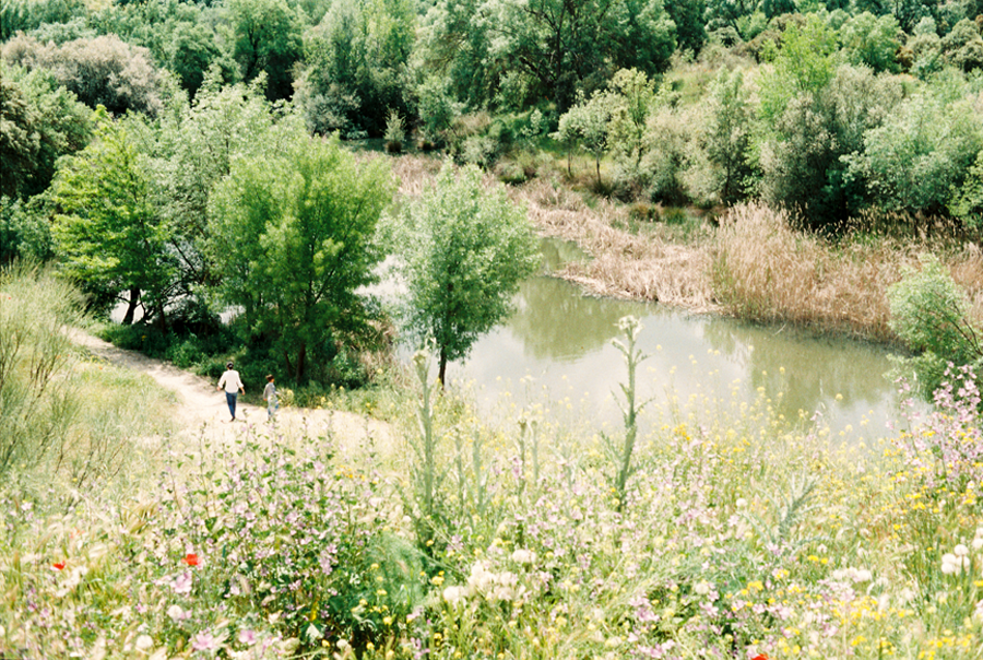 flores primavera 2018 El Pardo Madrid